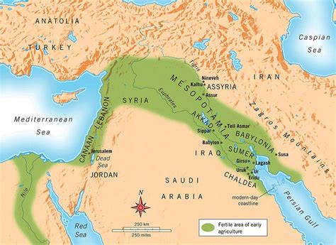 an ancient city in southern mesopotamia word hike|Word Hike An ancient city in southern Mesopotamia (now in Iraq) .